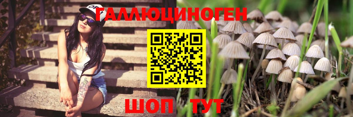 Белорецк  где найти наркотики  Вход с VPN  Галлюциногенные грибы MAGIC MUSHROOMS 